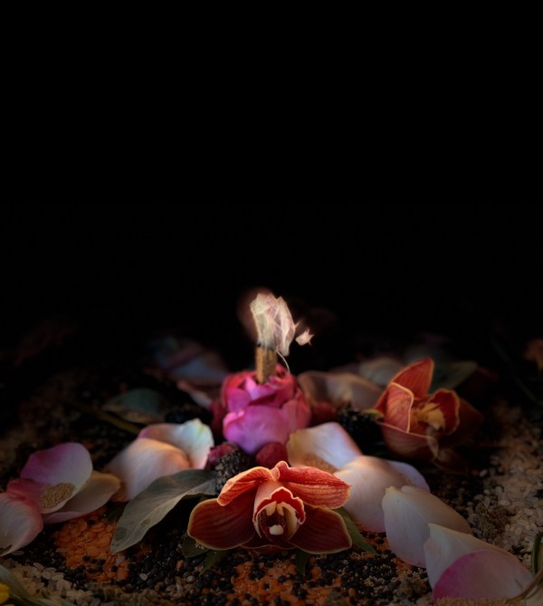 Ceremonial offering of orchids, rose petals, berries and seeds with incense smoke