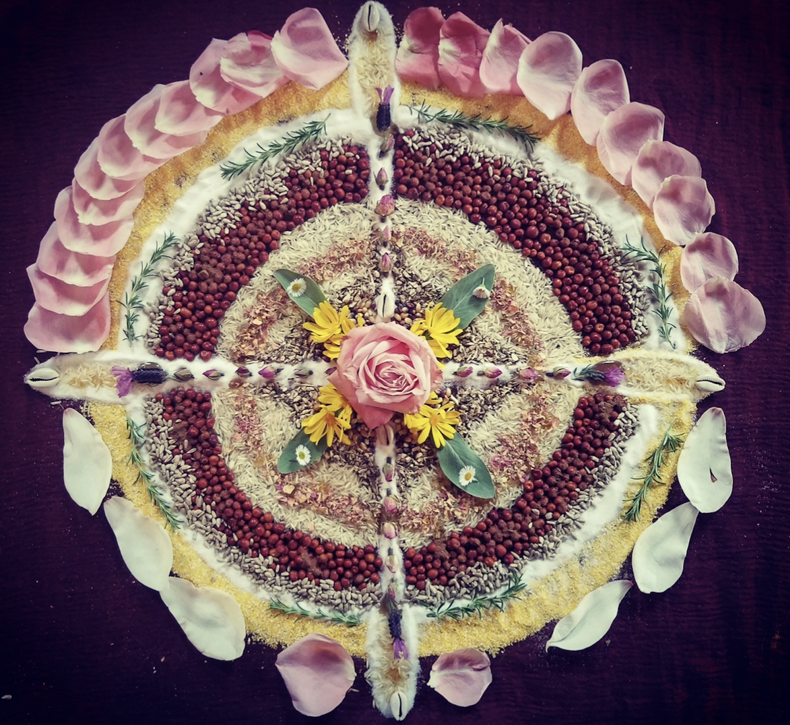 Offering mandala of seeds, grains, rose petals and flowers arranged in a circle with four directions